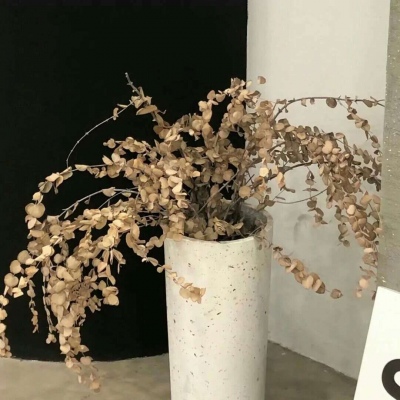 Furry原创作品设计思路兽圈社群